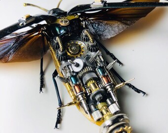 スチームパンク サイバーパンク 甲虫 昆虫 機械生物 彫刻 時計仕掛け