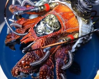 スチームパンクサイボーグカニ彫刻、機械昆虫アート - Etsy 日本