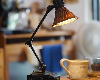 Handmade Camera Desk Lamp: Pomelo Peel Shade, Photography Gift