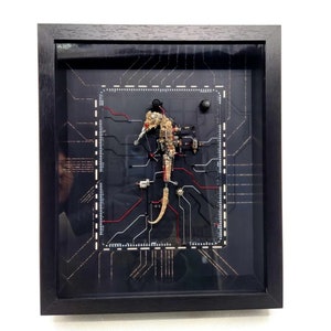 Cyberpunk Sea Horse Robotics Steampunk Sculpture Originally Designed Table Wall Decor Ornament Sci-fi Art Luxury Gifts Futurism Future Tech