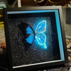 May include: A framed butterfly with blue and black wings, illuminated with a blue light, on a black background with a white EKG line.