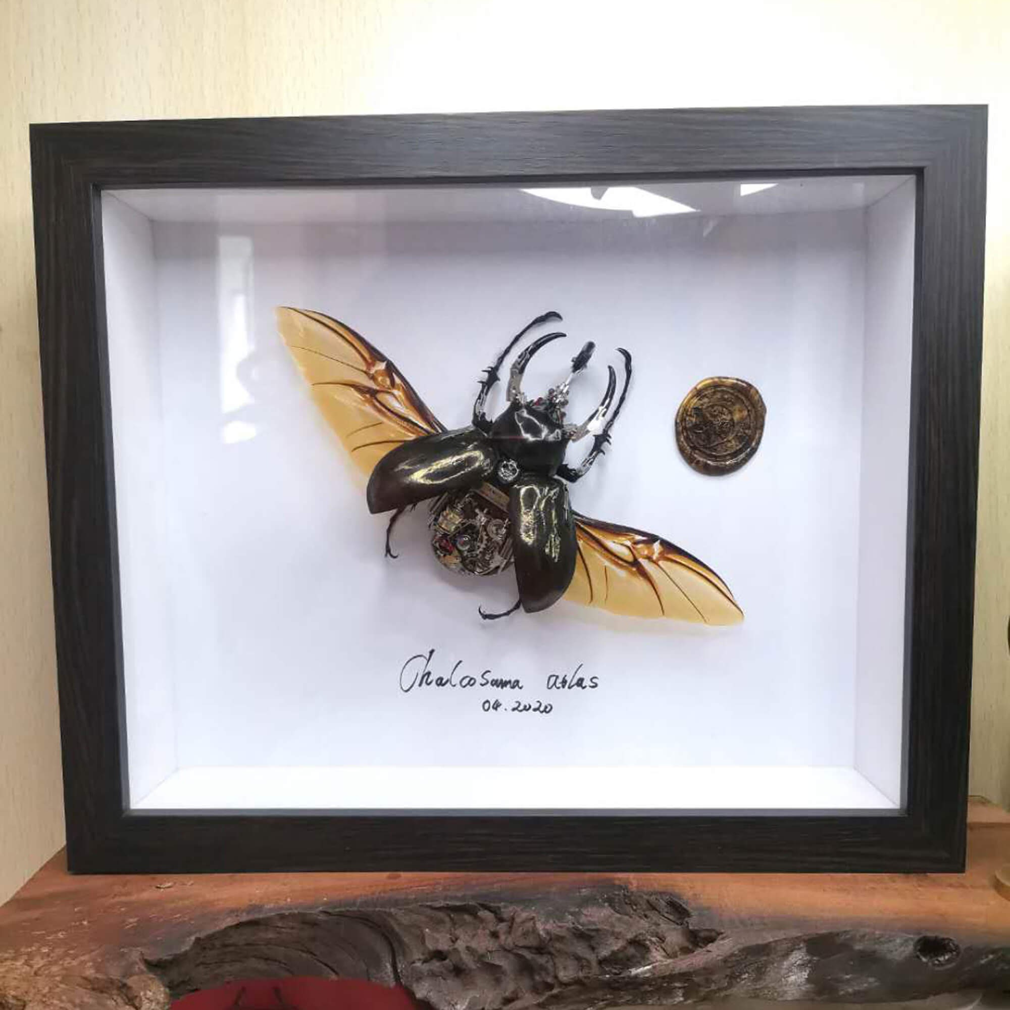 スチームパンク サイボーグ メカニカル ビートル 昆虫 虫 ファンタジー