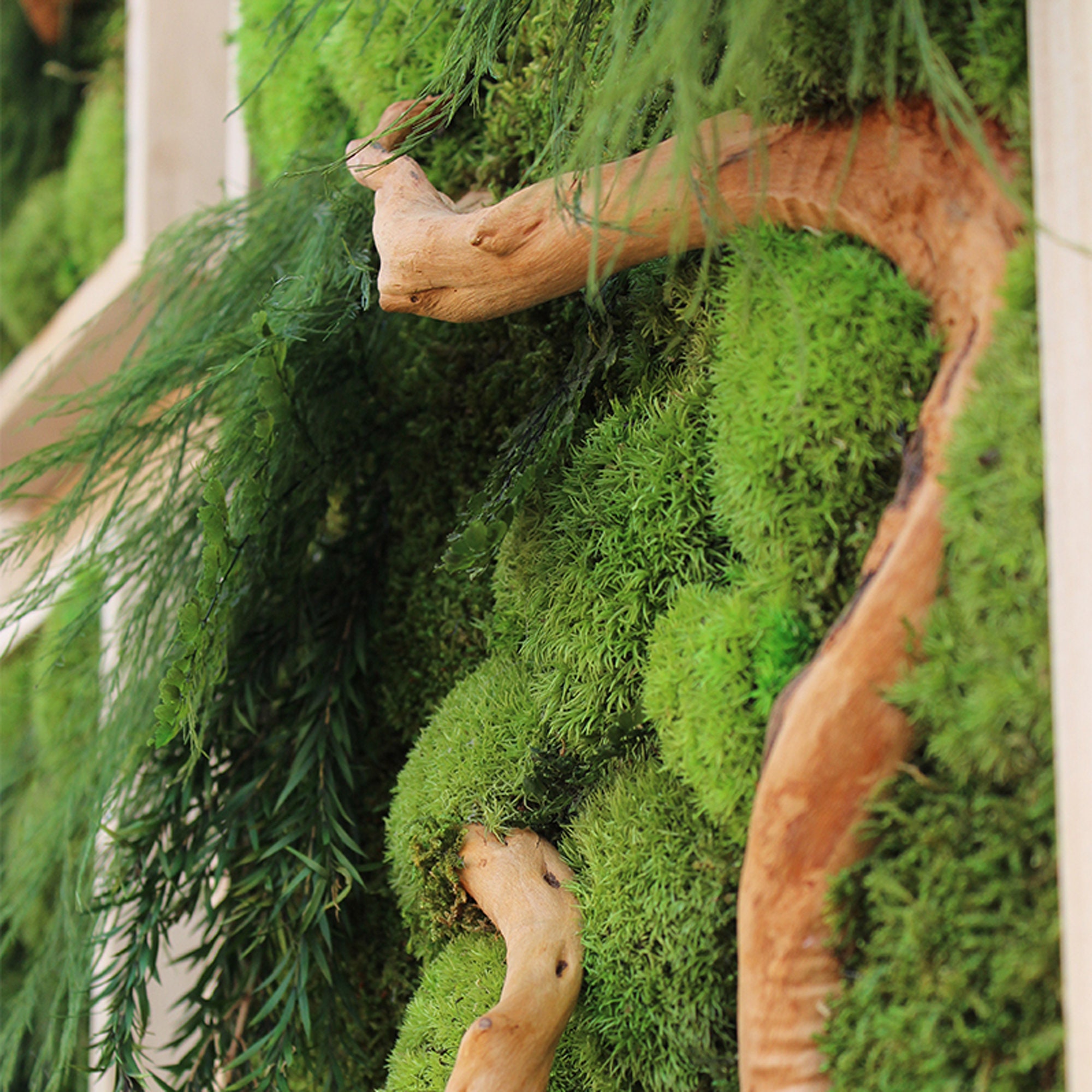 Artificial Moss & Fern Handmade Originally Designed Framed Etsy