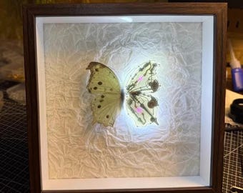 Cyberpunk Butterfly Frame, Features A Mechanical Wing With Neon Light, Chargeable Battery, Mechanical Sculpture Art, Unique Gift, Home Decor