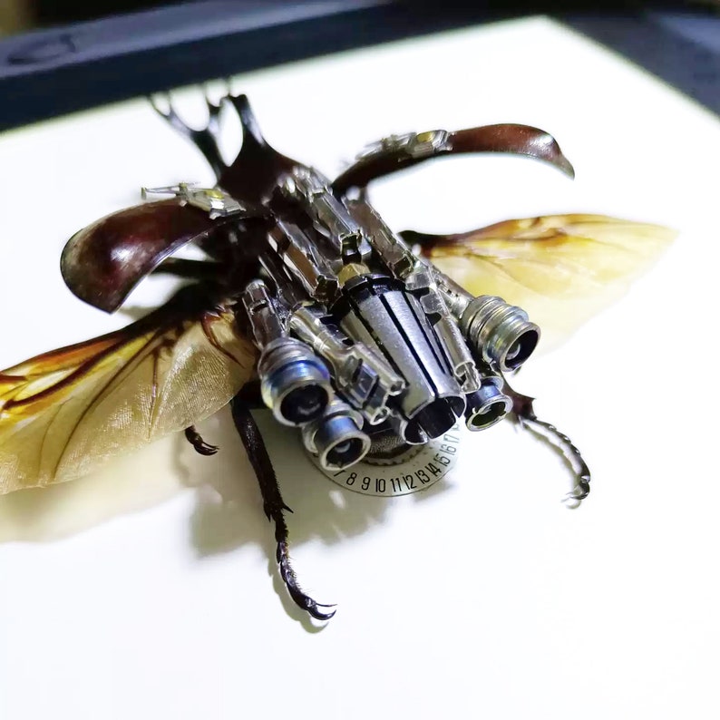 Steampunk Mechanical Beetle Insects Bugs Biomech Etsy
