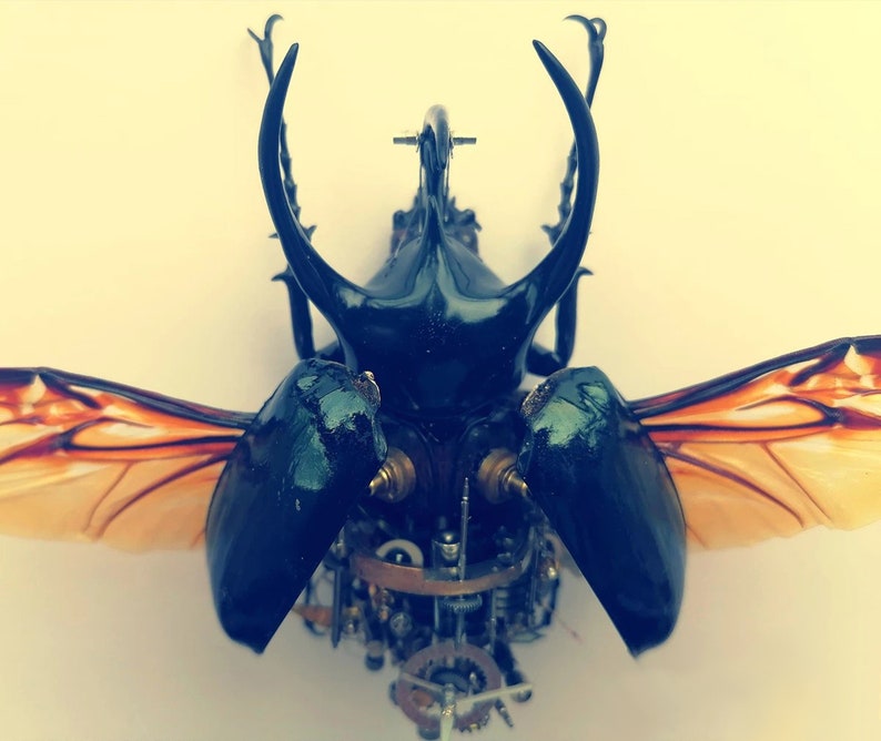 May include: A black and green beetle with orange wings, made of metal gears and clockwork. The beetle is posed with its wings spread out.