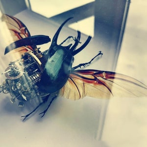 May include: A steampunk-style beetle sculpture with intricate gears and clockwork details. The beetle has a dark green body, brown wings, and gold accents.