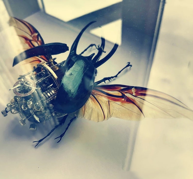 May include: A steampunk-style beetle sculpture with intricate gears and clockwork details. The beetle has a dark green body, brown wings, and gold accents.