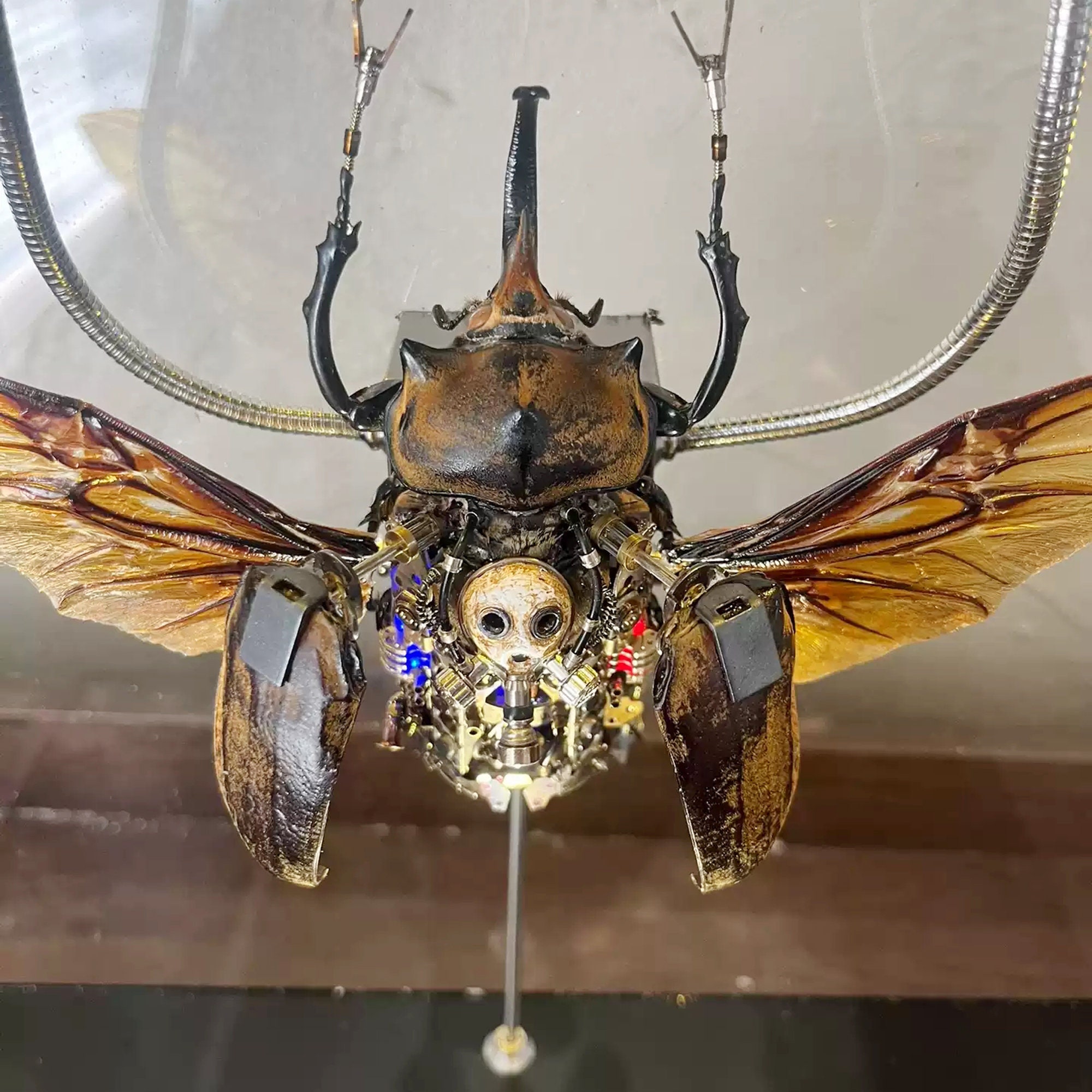 ニュージーランド製｜ハンドクラフト金属彫刻｜ウェタ（昆虫オブジェ） 昆虫シリーズ「カブトムシ」のオブジェ 黒檀 彫刻アート・木工