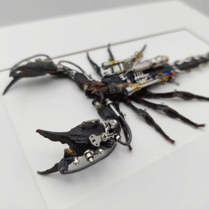 May include: A detailed sculpture of a scorpion, crafted with a combination of organic and mechanical elements. The scorpion's body is dark, with intricate metal components and wiring integrated throughout. The claws and stinger are prominent, showcasing the blend of nature and technology.