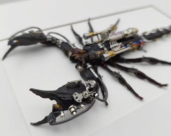Steampunk Scorpion Beetle Insect, Made With Clockwork & Real Scorpion, Wall Decor Ornament, Gift for Men, Robots Art, Mechanical Art