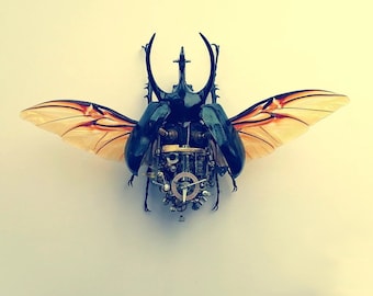 Steampunk Cyborg Mechanical Beetle Insects Bugs Fantasy Concept Art Unusual Cool Unique Gift Ideas for Men Insect Lovers Home Decor Objects