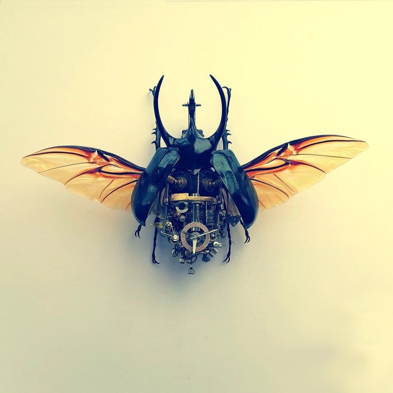 May include: A steampunk-style beetle with intricate gears and clockwork details. The beetle has large, orange-brown wings and a black body.