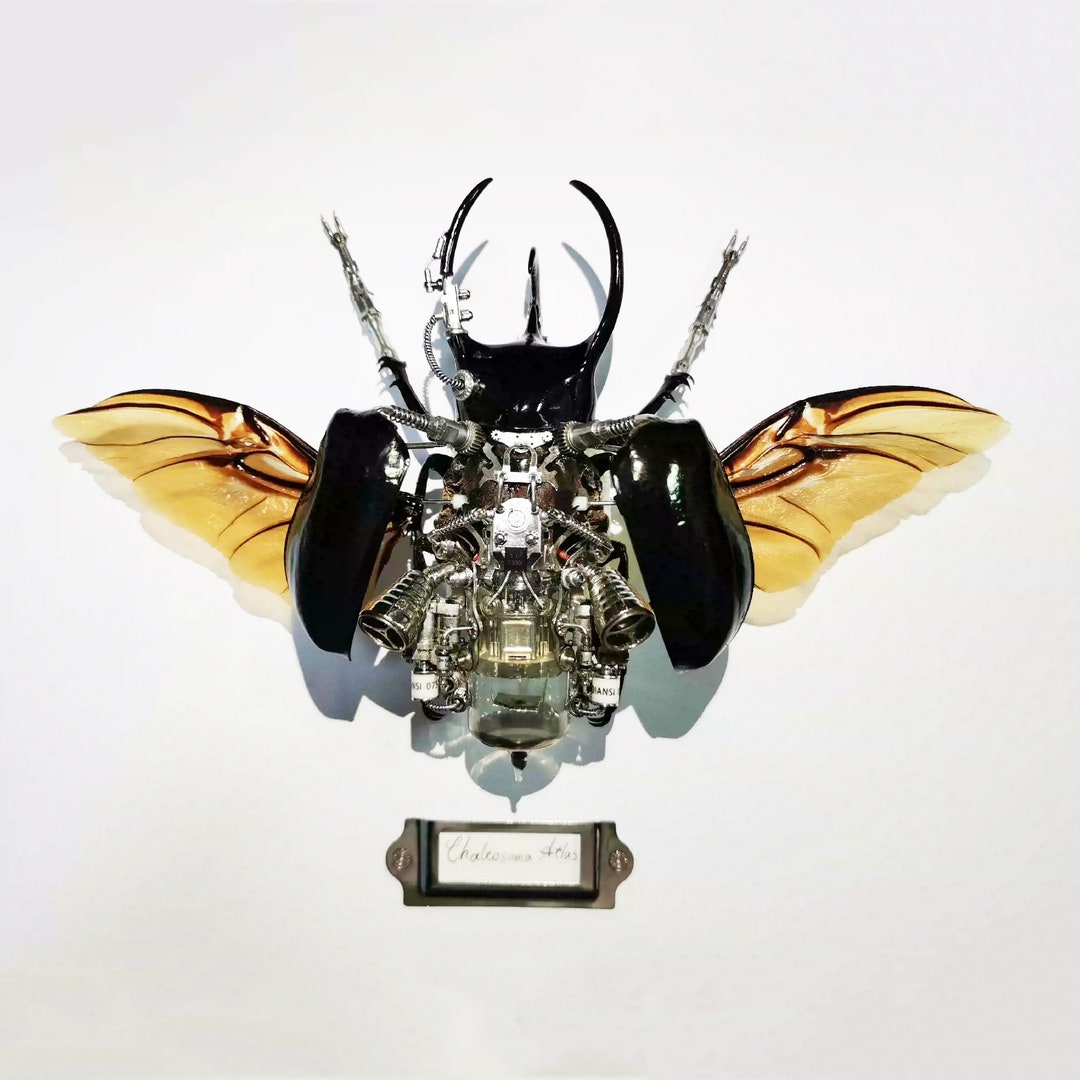 Mechanical Insects Sculpture Beetle Bugs Fantasy Concept Art