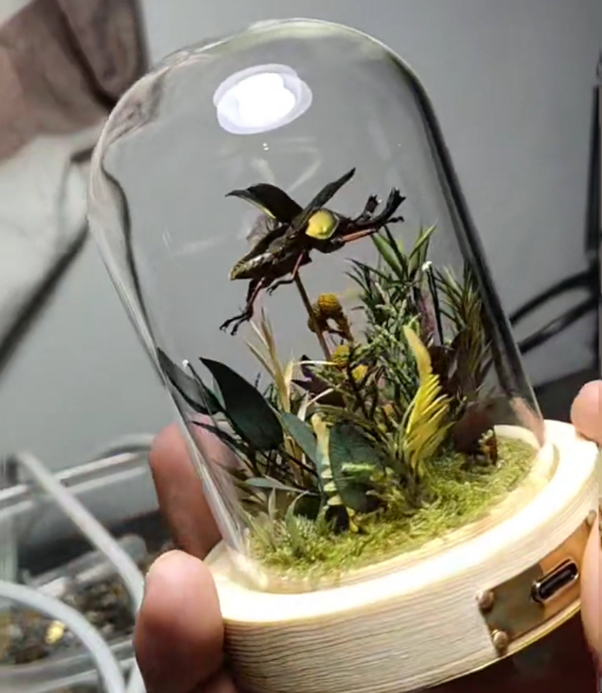 Quick Flapping Flying Insect Mechanical Beetle With Flapping Wings Real Insect Kinetic Sculpture ...