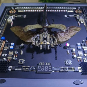 Puede incluir: Una obra de arte enmarcada que presenta un escarabajo con un cuerpo metálico y alas, montado en una placa de circuito con varios componentes electrónicos. El cuerpo del escarabajo está hecho de metal y tiene un diseño detallado. La placa de circuito es negra y tiene una variedad de componentes electrónicos, incluyendo resistencias, condensadores y circuitos integrados. La obra de arte está enmarcada en un marco negro.