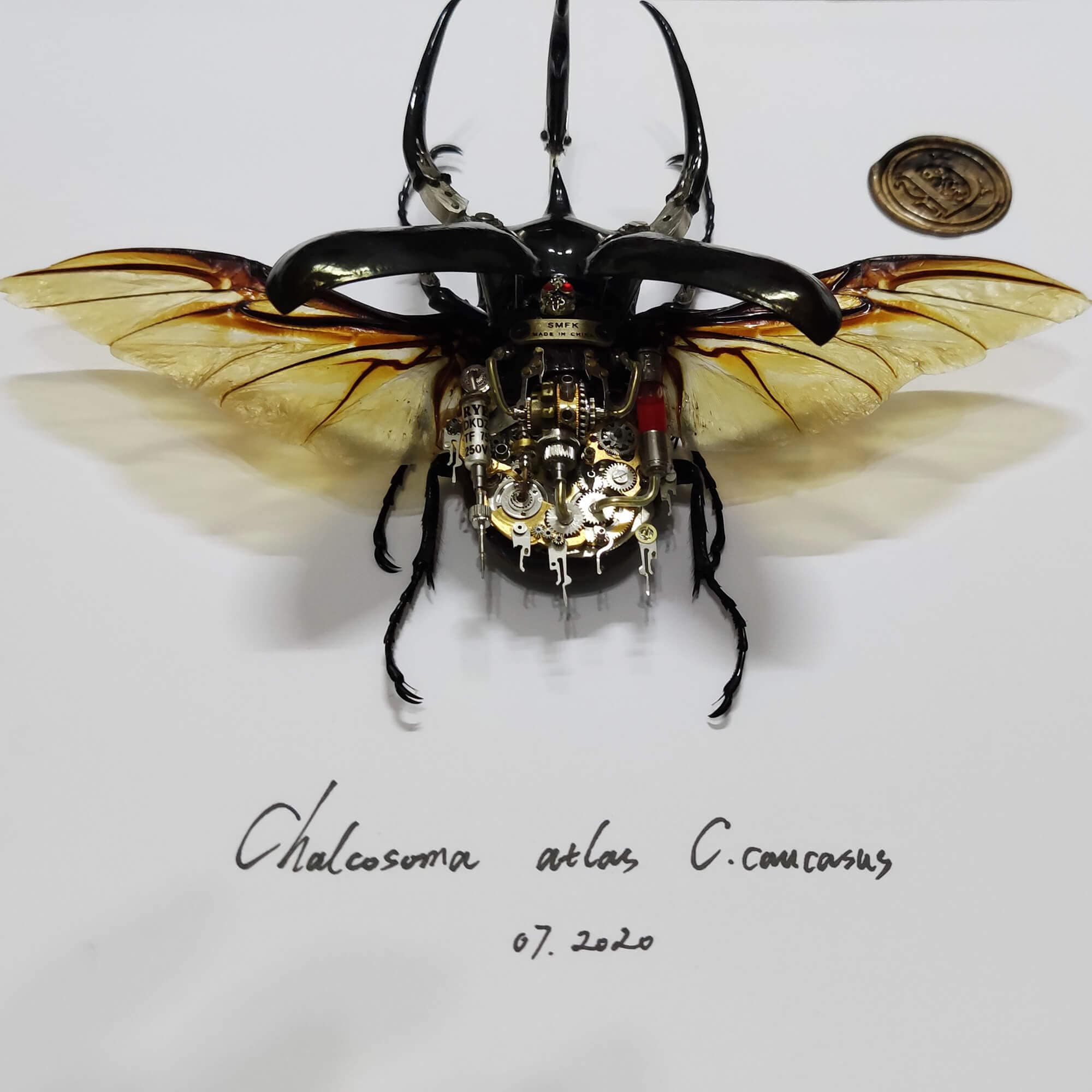 スチームパンク サイボーグ メカニカル ビートル 昆虫 虫 ファンタジー