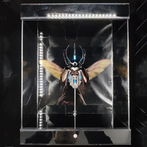 スチームパンク サイボーグ メカニカル ビートル 昆虫 キネティック