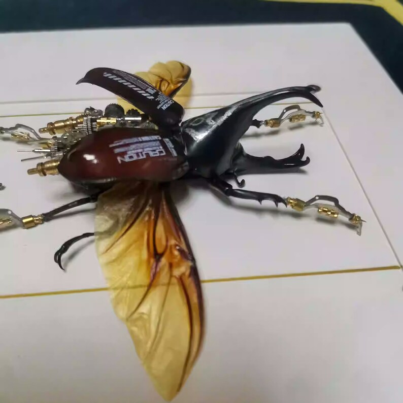 Motor Like Insect Steampunk Cyborg Mechanical Beetle Insects Bugs Biomech Concept Art ...