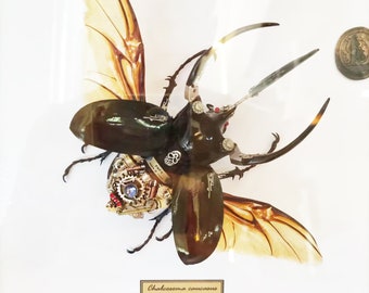 スチームパンク サイボーグ メカニカル ビートル 昆虫 虫 ファンタジー