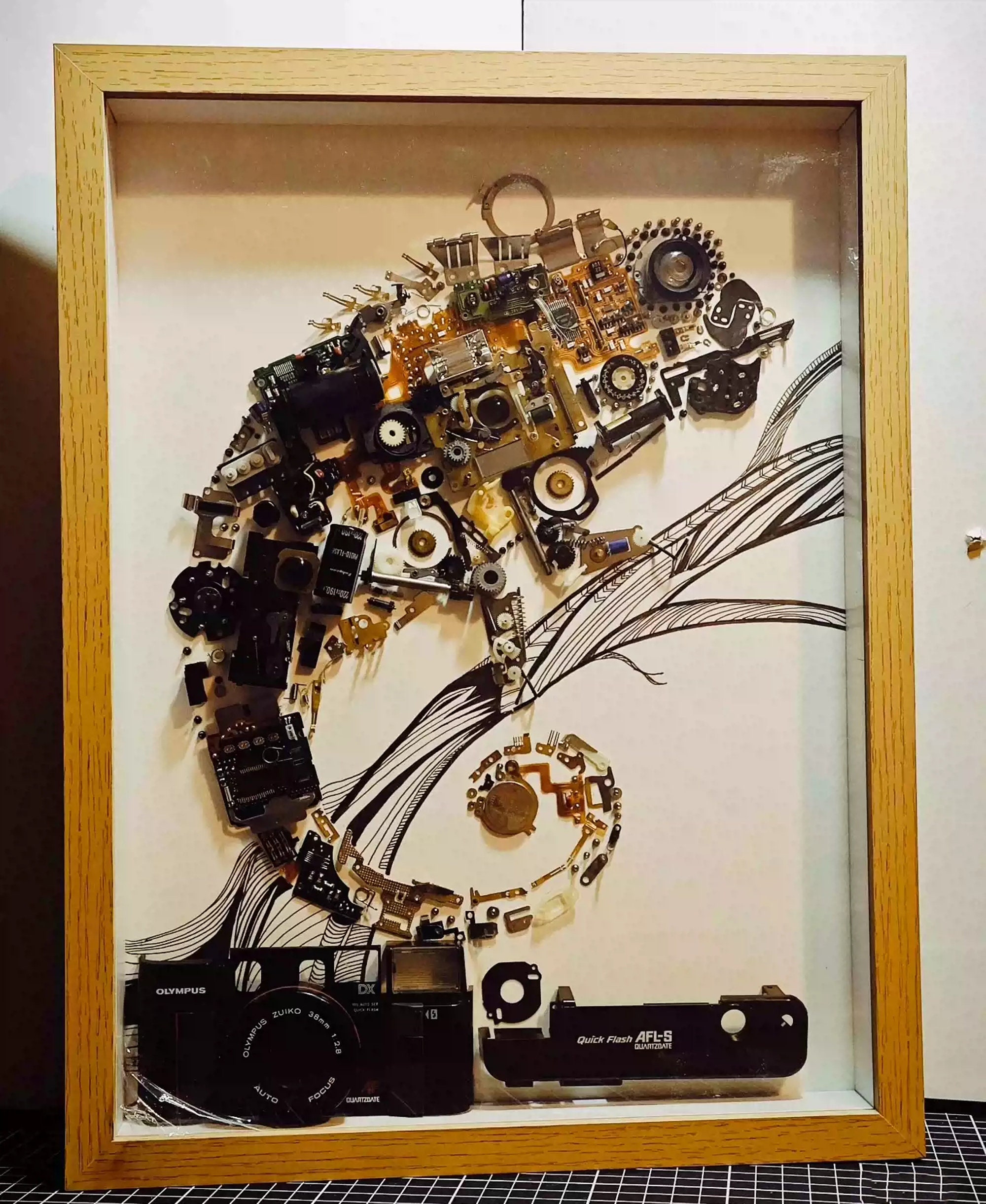 Mechanical Camera Parts Framed Wall Art Decor, Electronic
