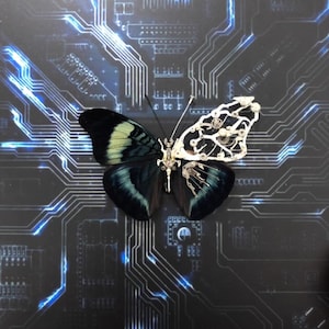 Puede incluir: Una mariposa negra y verde con un ala mecánica blanca y plateada sobre un fondo de circuito azul y negro.