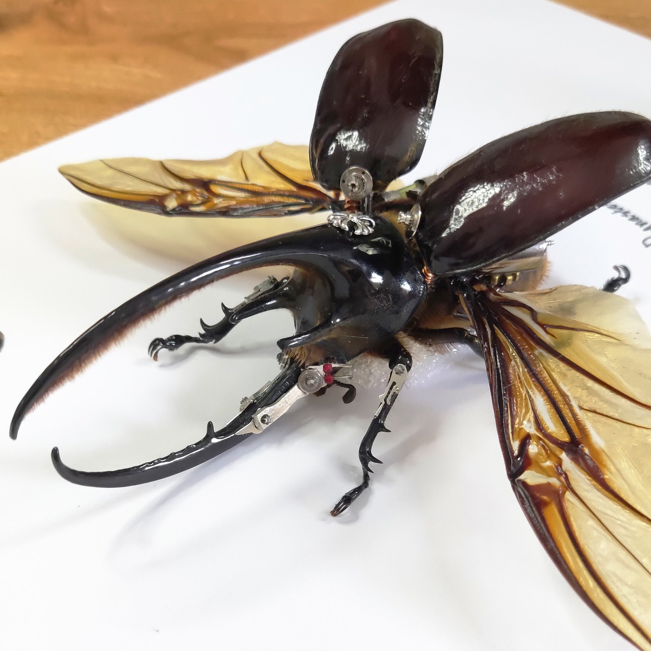 スチームパンクなカブトムシ昆虫ロボット、蒸気エンジンで動く