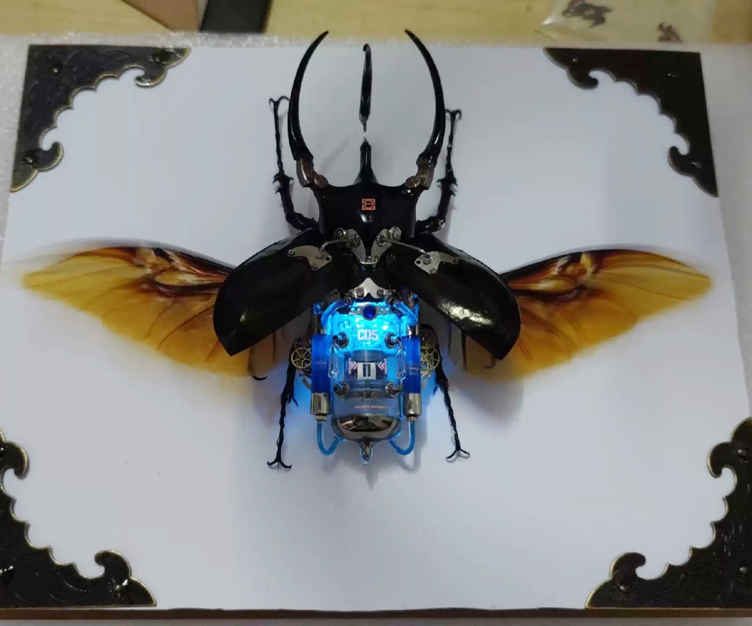 Mechanical Insects Sculpture Beetle Bugs Fantasy Etsy