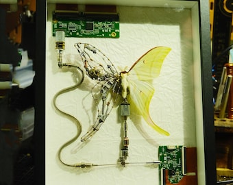 Mechanical Actias Ningpoana Frame with A Mechanical Wing, Insect Specimen Mechanical Mutant, Home Decor Gift Sculpture, Aesthetic Cyborg Art