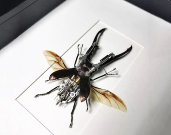 Mechanical Beetle Insects Bugs Art Inspired by The Edward Scissorhands Unique Gift Ideas for Men Insect Lovers Wall Decor Objects Framed Art