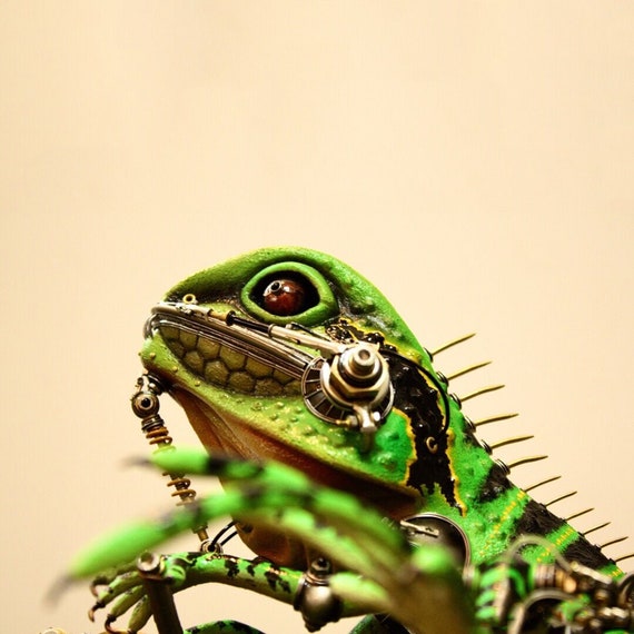 3D modelling is helping researchers understand how chameleons