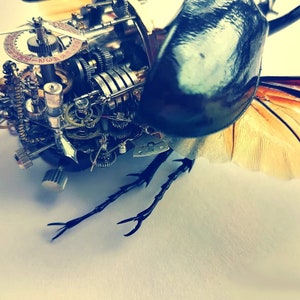 May include: A detailed steampunk-style beetle sculpture with intricate gears and clockwork mechanisms. The beetle is made of metal and has a dark brown and black body with a pair of wings.