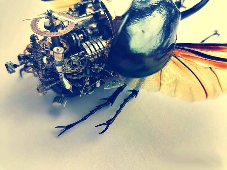 May include: A detailed steampunk-style beetle sculpture with intricate gears and clockwork mechanisms. The beetle is made of metal and has a dark brown and black body with a pair of wings.