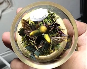 Mechanical Beetle with Flapping Wings Real Insect Kinetic Sculpture Cool Nature Gifts Diorama The Smallest Mechanical Insect Home Decor Art