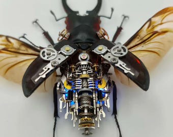 Mechanical Insects Kinetic Sculpture Beetle Bugs Fantasy Concept Art Unusual Cool Unique Gift Ideas for Men Insect Lovers Home Decor Objects