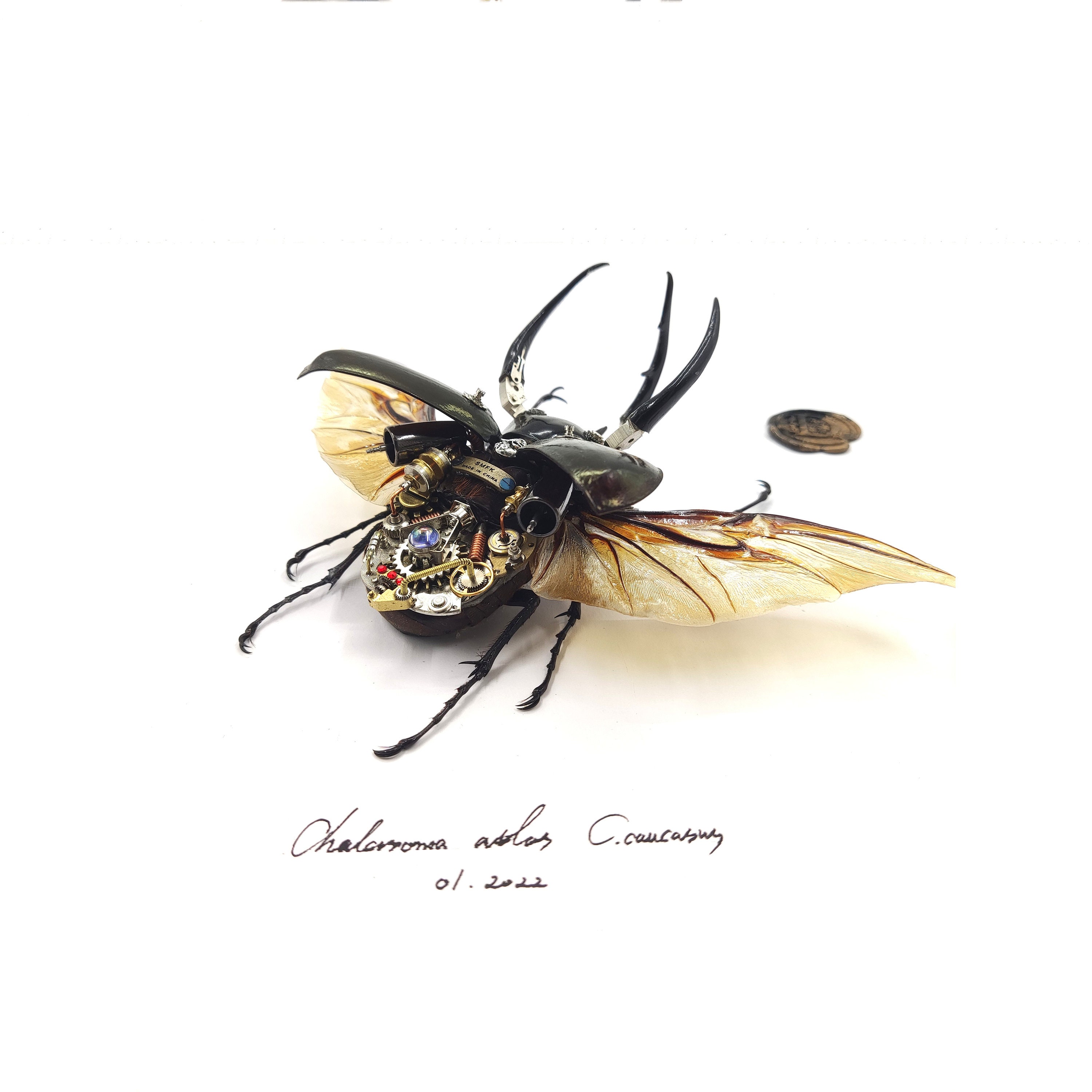 スチームパンク サイボーグ メカニカル ビートル 昆虫 虫 ファンタジー