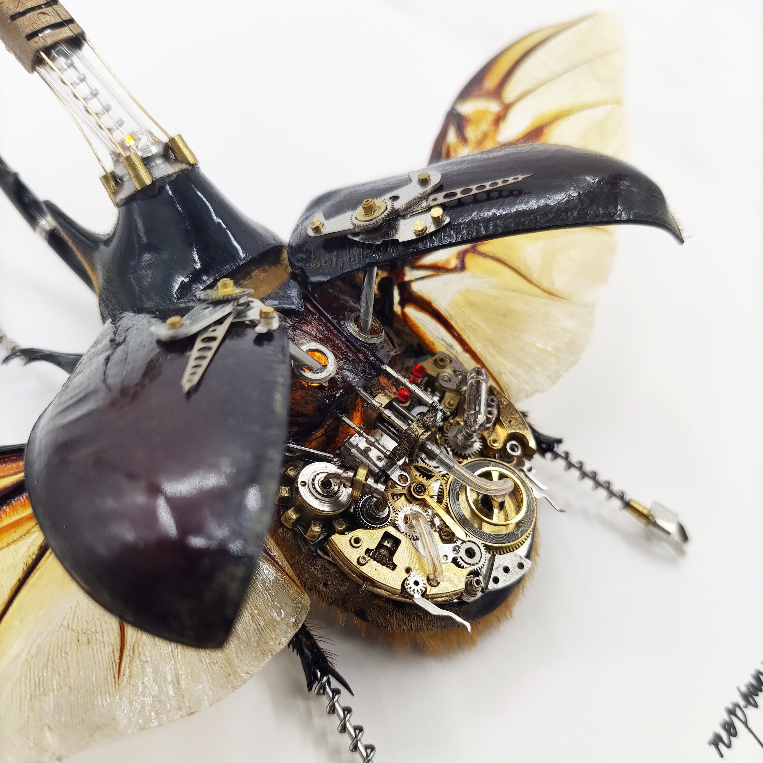 スチームパンクなカブトムシ昆虫ロボット、蒸気エンジンで動く