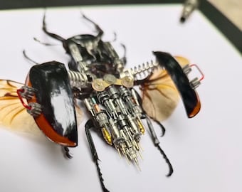 il_340x270.3874104706_l636.jpg