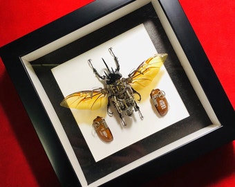 Steampunk Beetles Insect Machine Sculpture Decor Eupatorus Gracilicornis Unloads Wings Armour for Maintenance and Rest Robots Aesthetic Art
