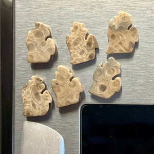 Michigan Petoskey Stone Magnets