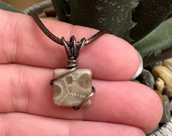 Michigan Petoskey Stone Pendant & Necklace