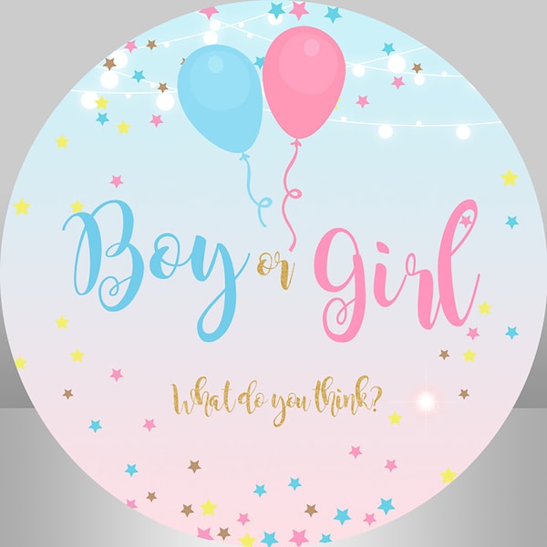 Boy or Girl Photo Backdrop Gender Reveal Birthday Party Banner Pink and Blue Balloons Baby Shower Background