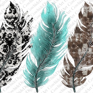Cowhide And Turquoise Feather Png, Feather Sublimation Designs Downloads, Turquoise Png, Western, Digital Download, Western design