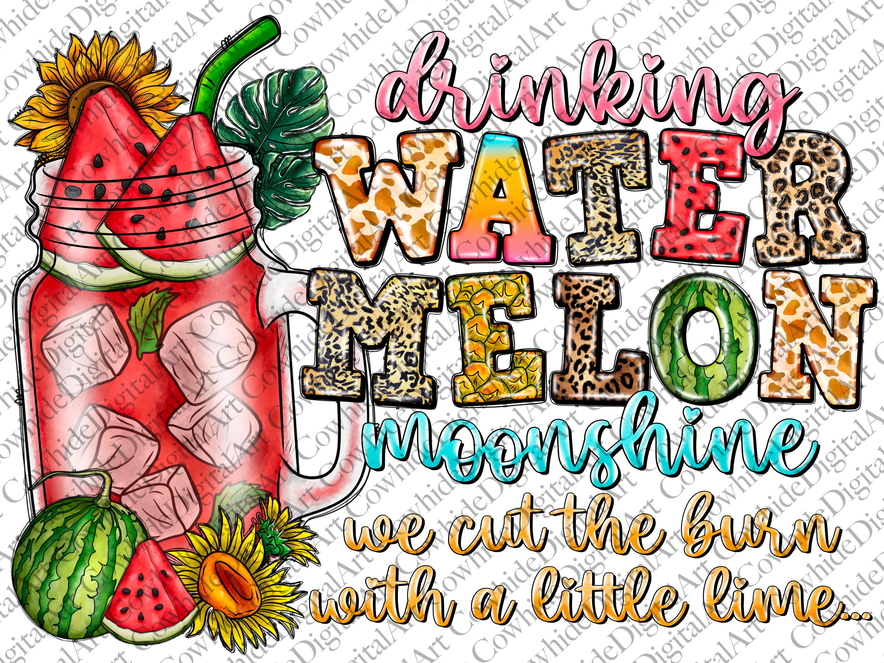 Lainey Wilson Watermelon 🍉 Moonshine Stanley