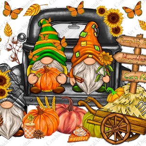 May include: Three gnomes dressed in fall colors are sitting in the back of a vintage truck. The gnomes are holding pumpkins and cinnamon sticks. The truck is decorated with fall foliage and sunflowers. The text on the signs reads "Pumpkin Patch", "Hayrides", and "Corn Maze".