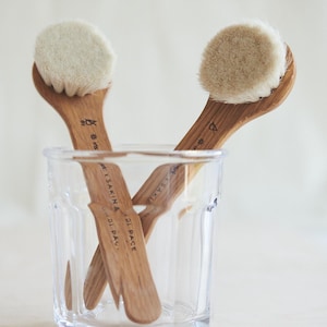 Facial Dry Brushes