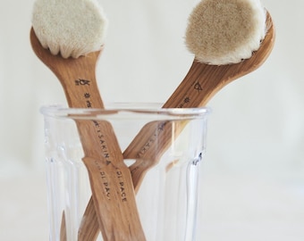 Facial Dry Brushes