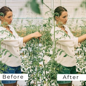40 LUTs botánicas vintage / Corrección de color con aspecto de película verde para Premiere Pro, CapCut y DaVinci Resolve / Paquete de LUTs de vídeo con estética de jardín imagen 6