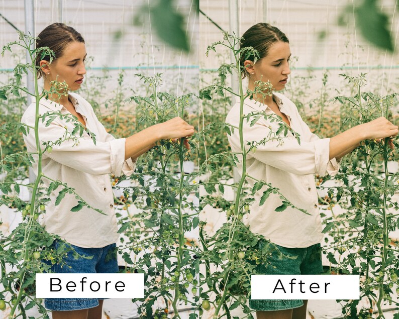 40 LUTs botánicas vintage / Corrección de color con aspecto de película verde para Premiere Pro, CapCut y DaVinci Resolve / Paquete de LUTs de vídeo con estética de jardín imagen 6