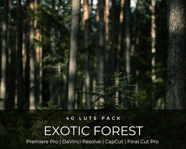 40 Dark Forest LUTs | Moody Green Cinematic Color Grading for Premiere Pro, CapCut & DaVinci Resolve | Nature Hiking Film Look image 1